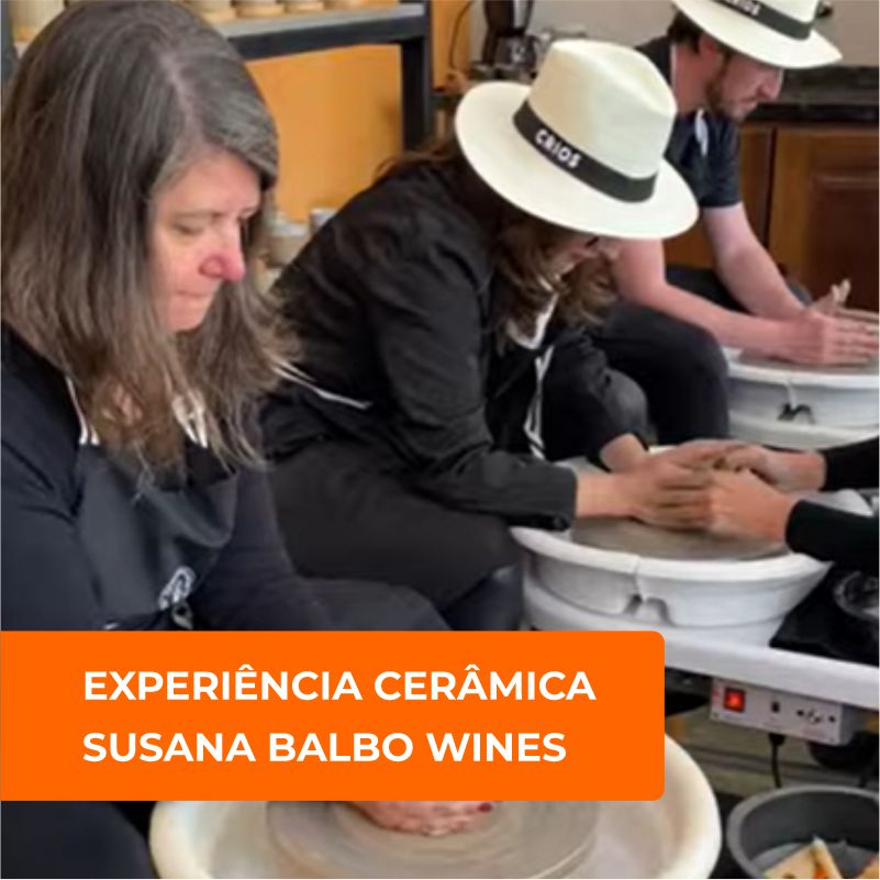 Experiência Susana Balbo em Cunha